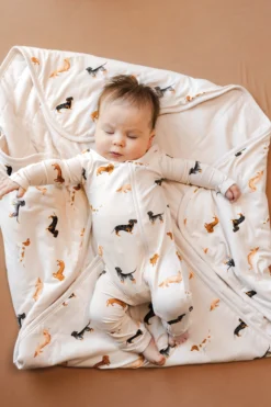 Baby Blanket in Dachshund 1.0