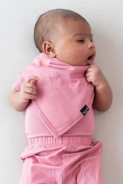 Bib in Apple Blossom