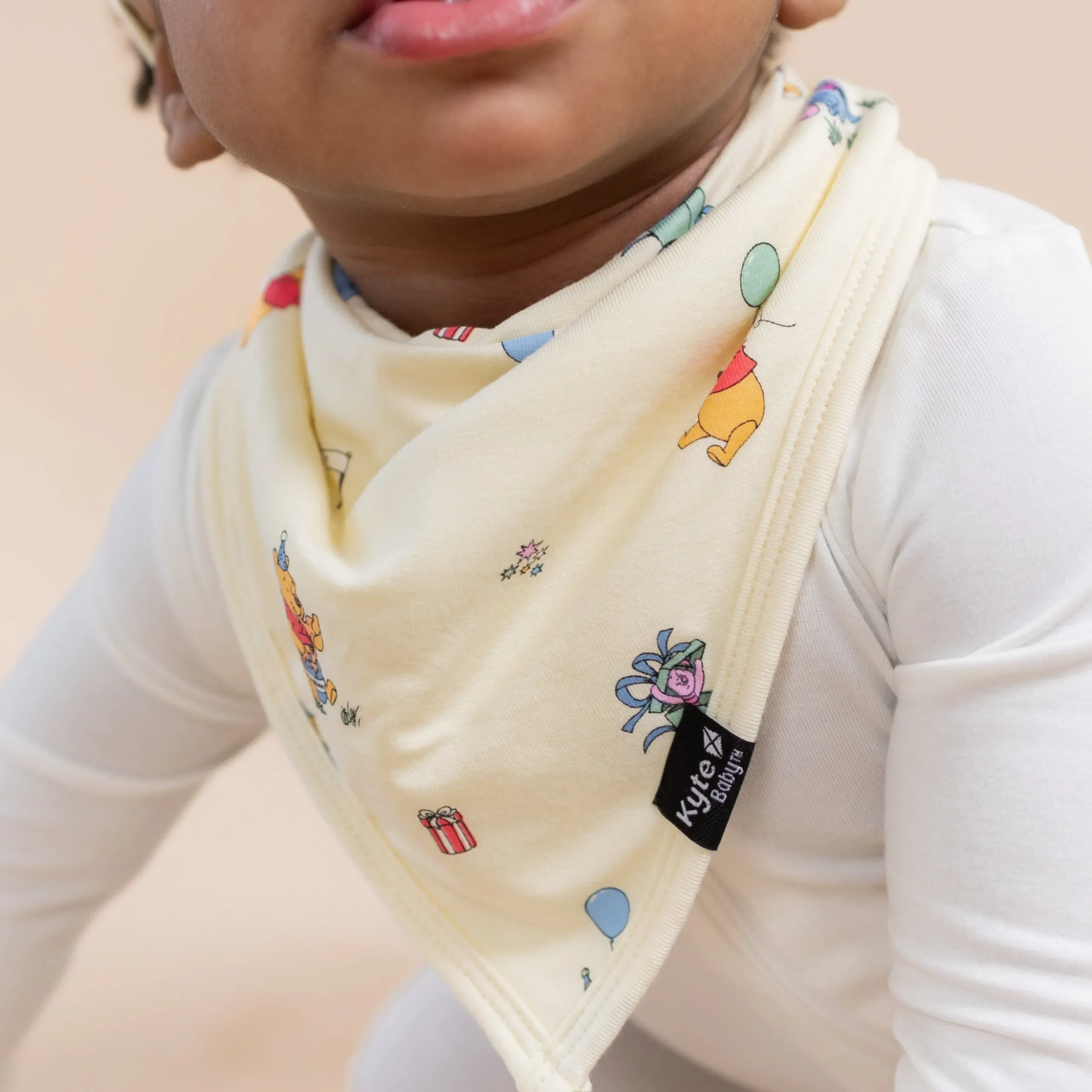 Bib in Winnie the Pooh Celebration