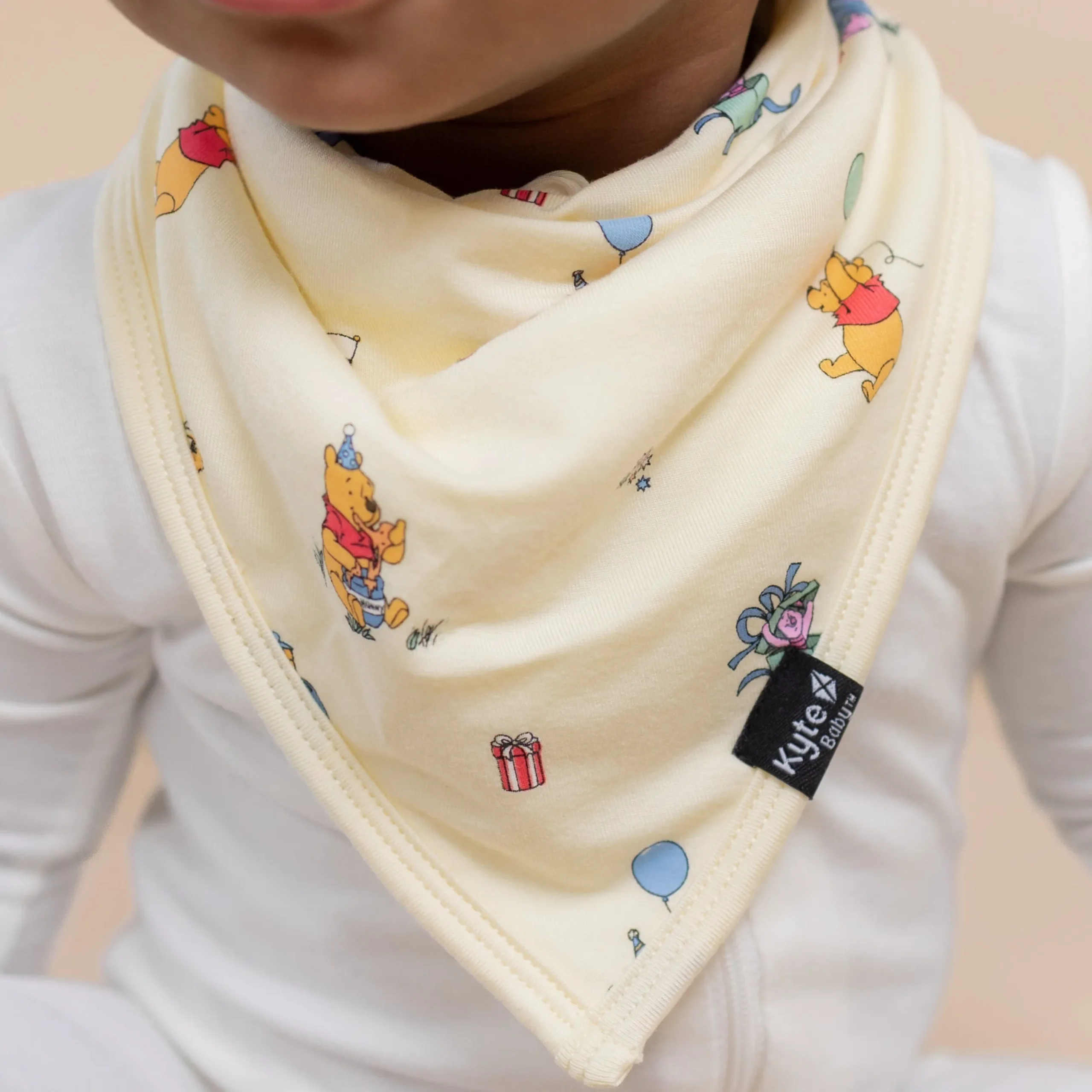 Bib in Winnie the Pooh Celebration