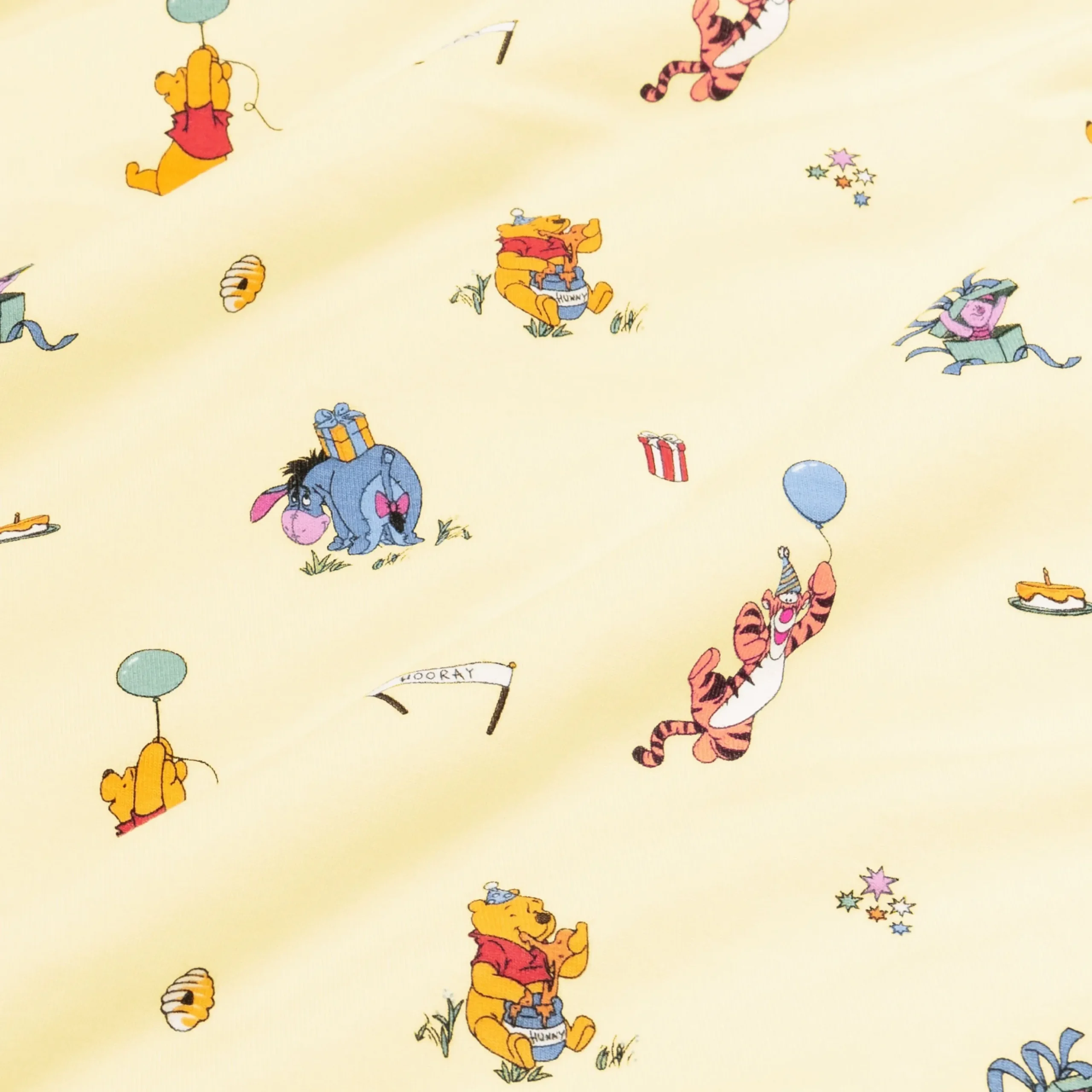Bib in Winnie the Pooh Celebration