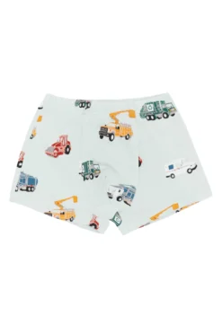 Briefs in City Vehicles