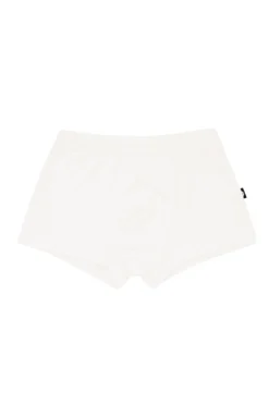 Briefs in Cloud