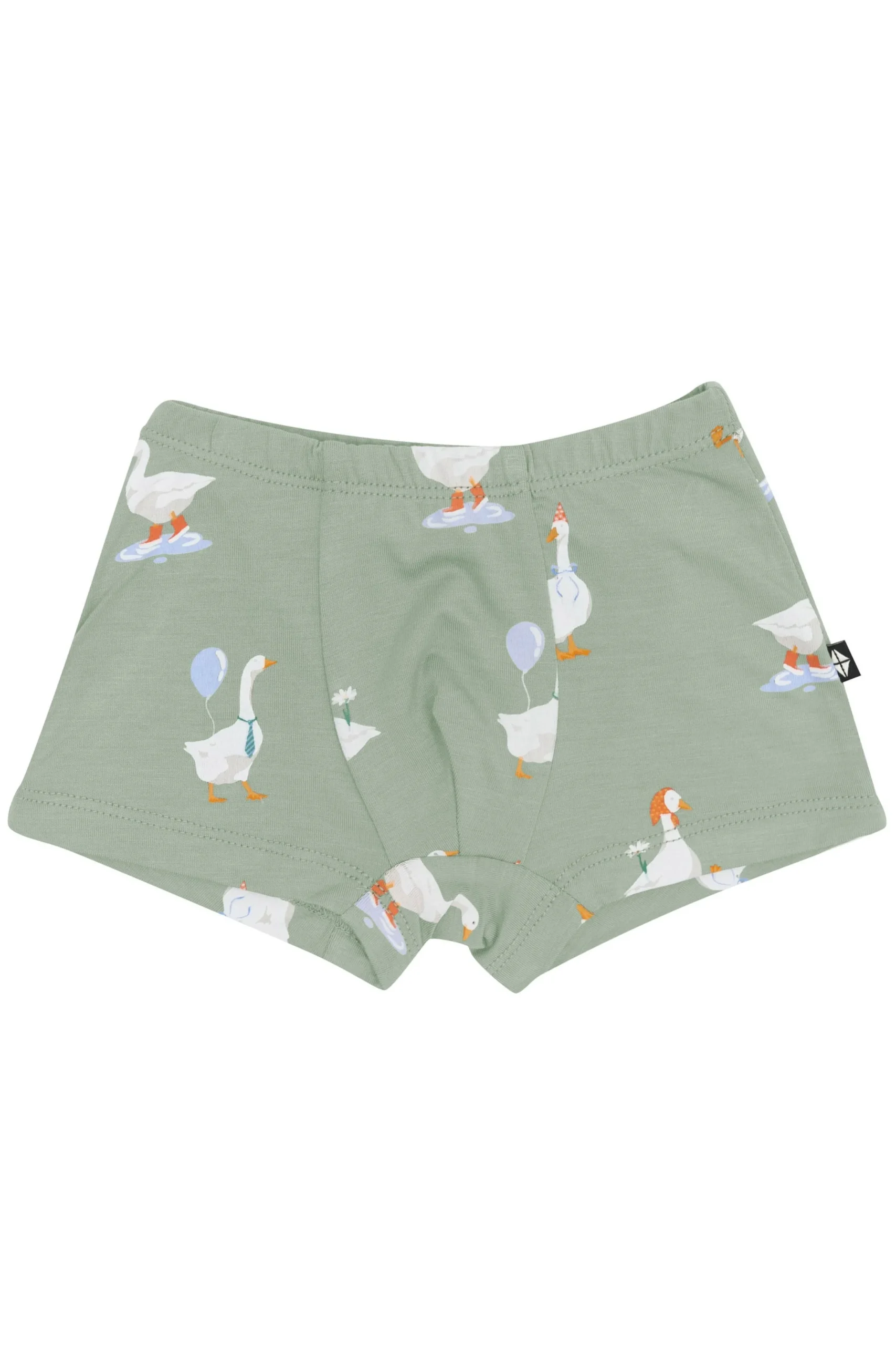 Briefs in Silly Goose