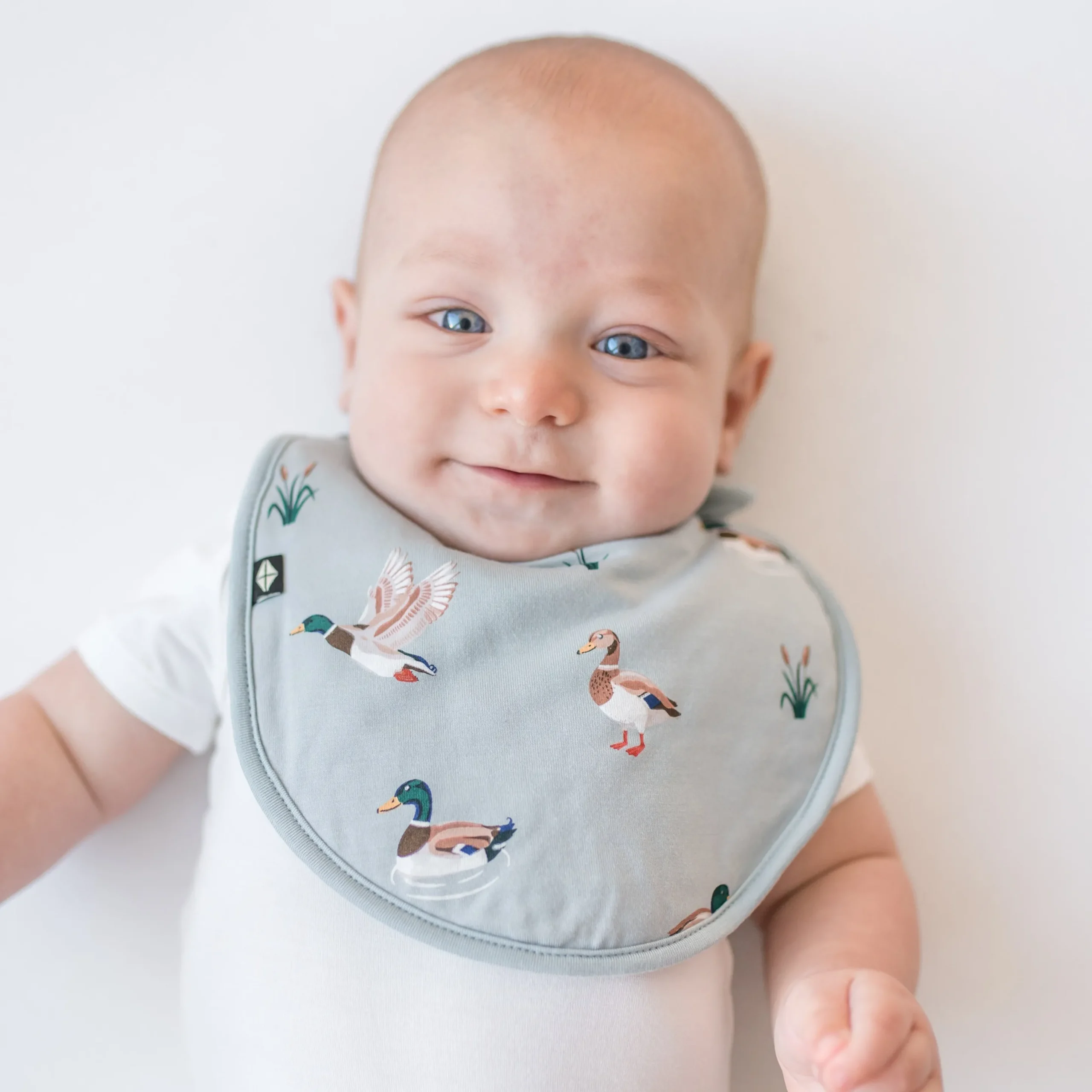 Cushy Bib in Mallard Duck