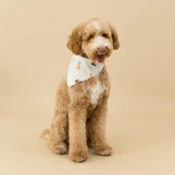 Dog Bandana in Fluffy Dog