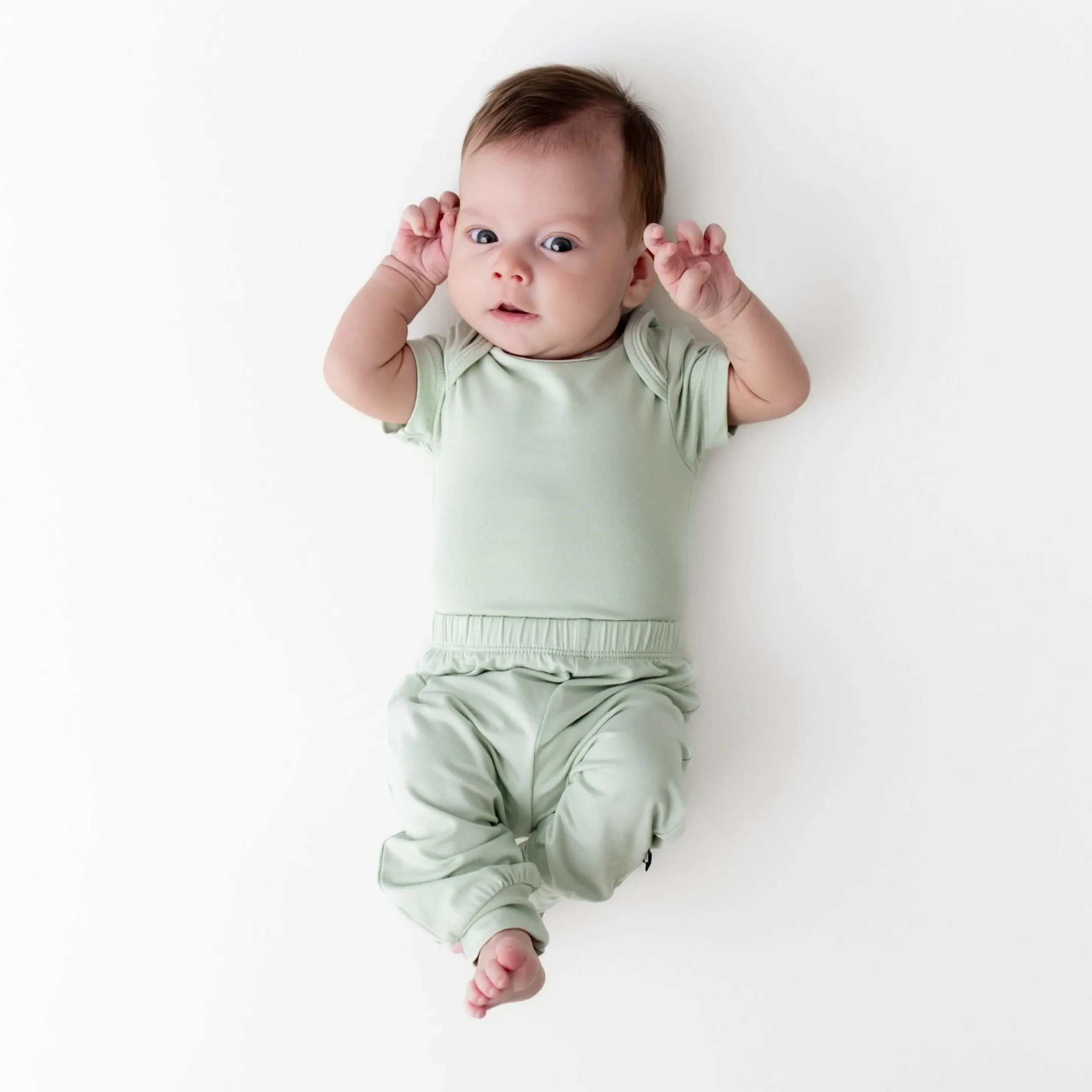 Pant in Basil