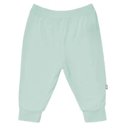 Pant in Sage