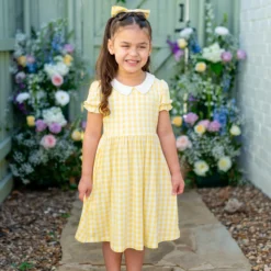 Peter Pan Collar Dress in Gingham Chamomile