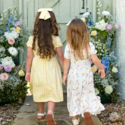 Peter Pan Collar Dress in Gingham Chamomile