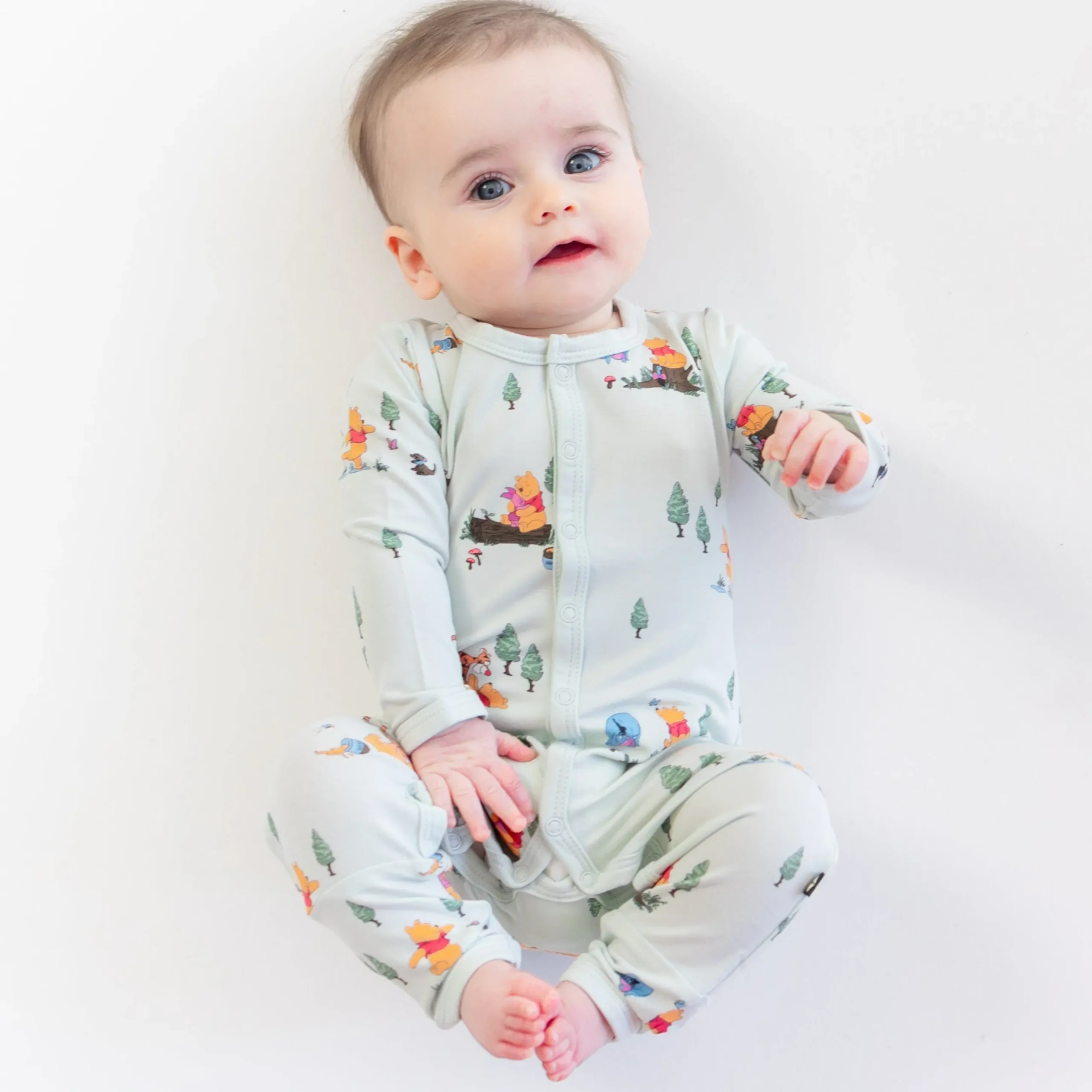 Romper in Winnie the Pooh Hundred Acre Wood