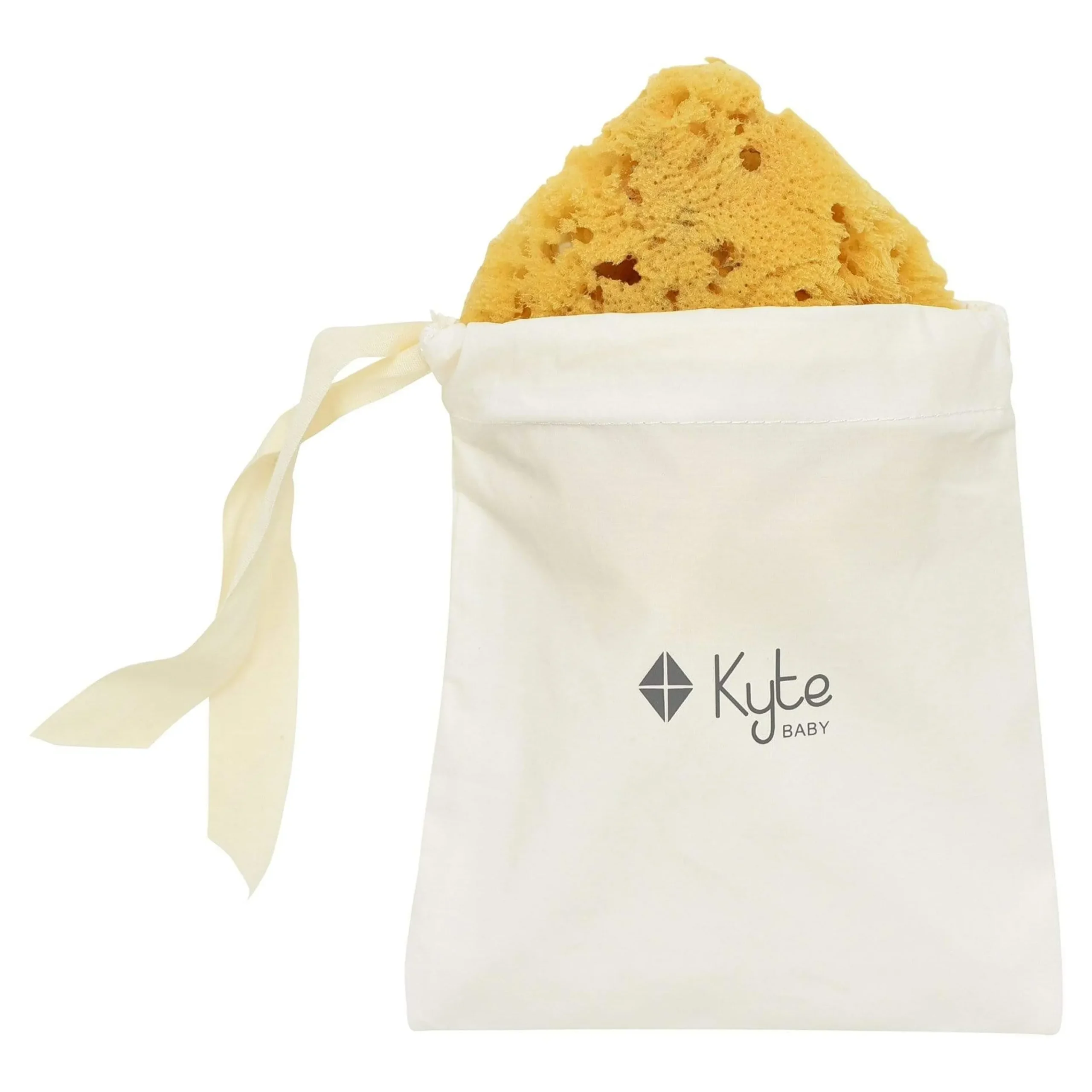 Sea Sponge