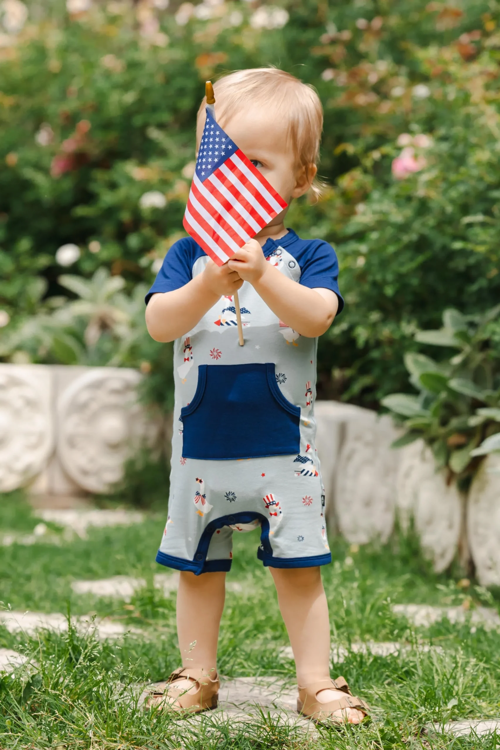 Shortall in Patriotic Goose