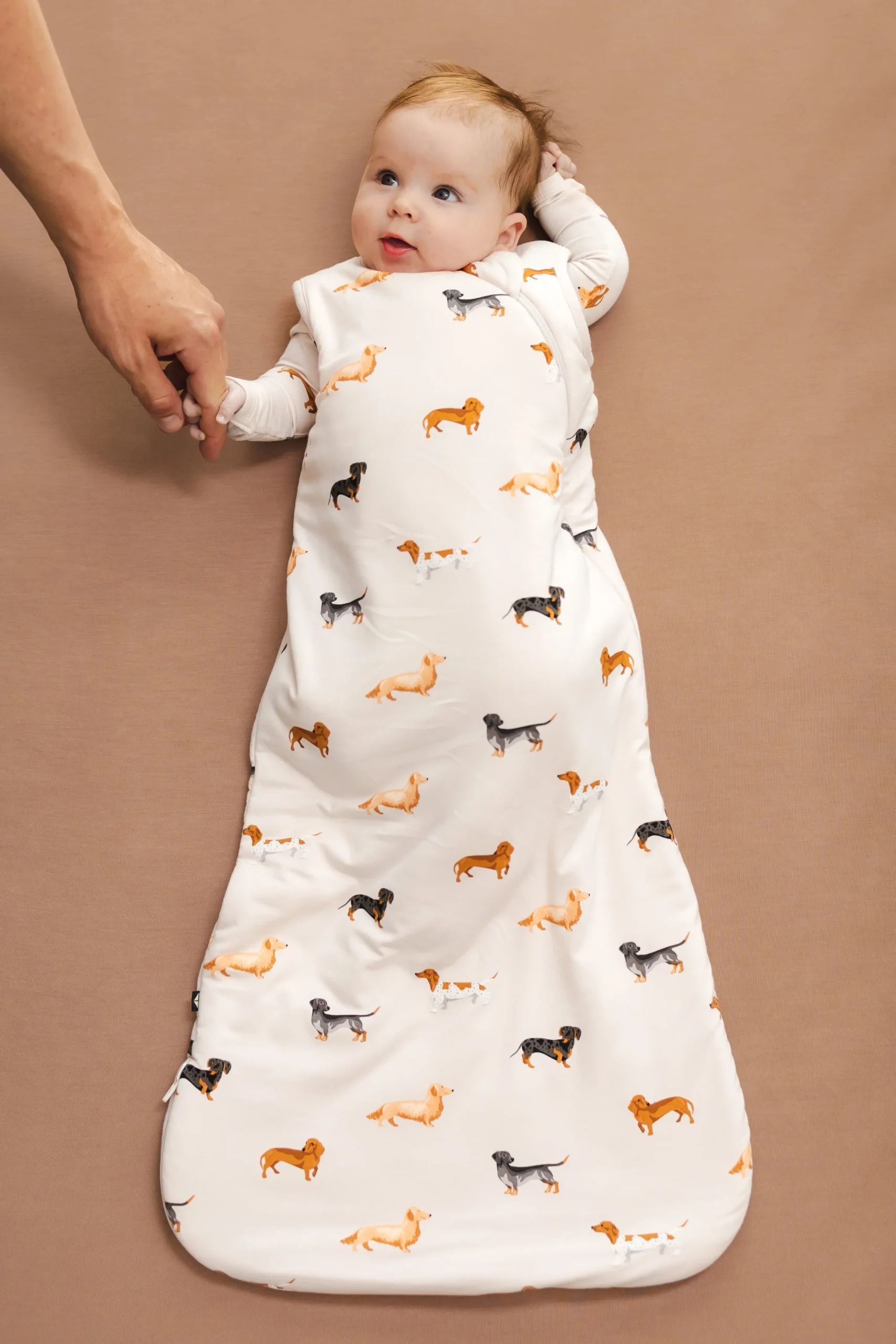 Sleep Bag in Dachshund 1.0