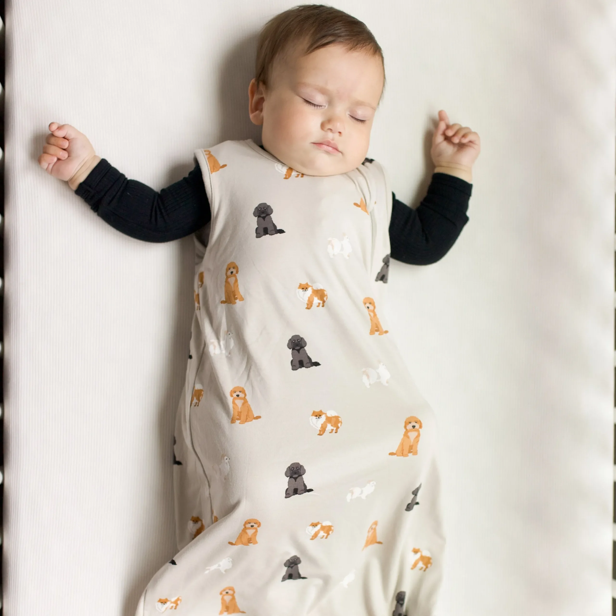 Sleep Bag in Fluffy Dog 0.5