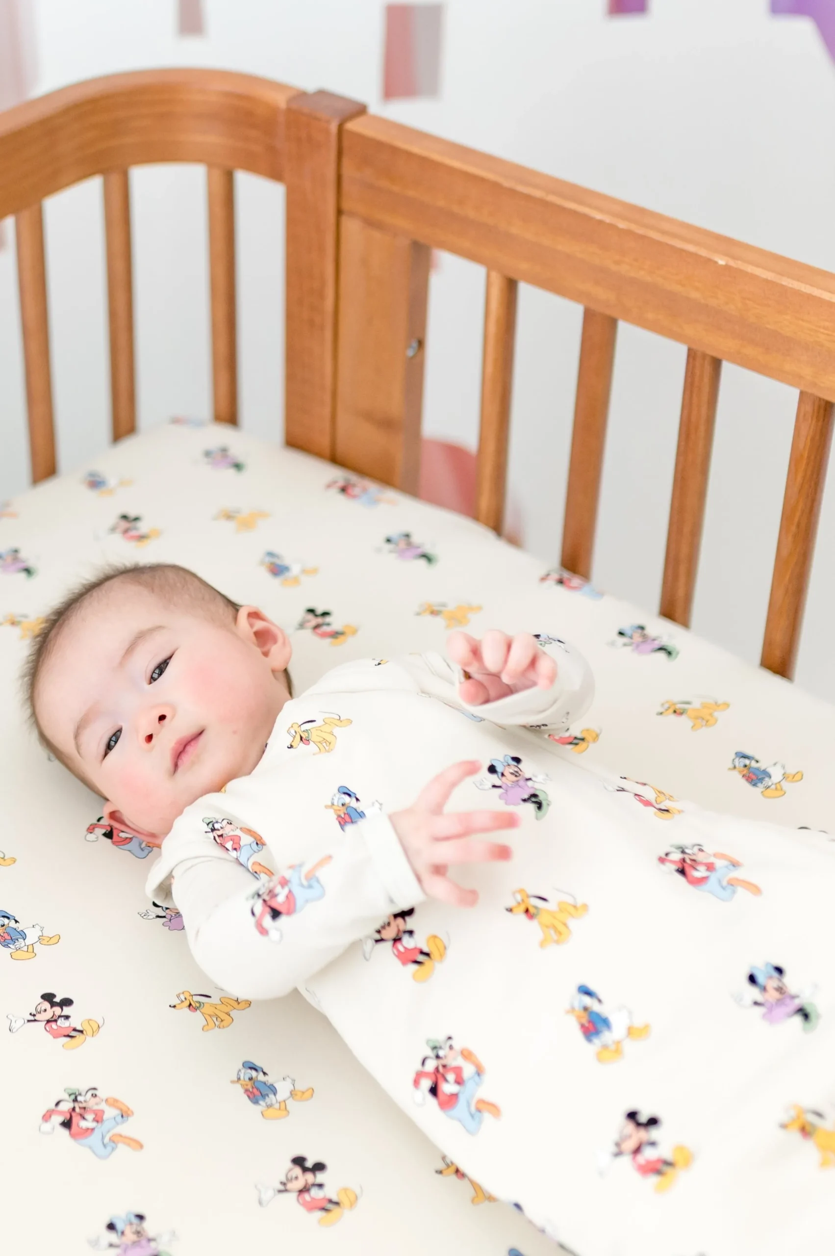 Sleep Bag in Mickey Mouse and Friends 1.0