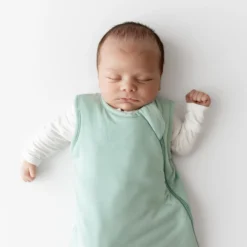 Sleep Bag in Sage 1.0