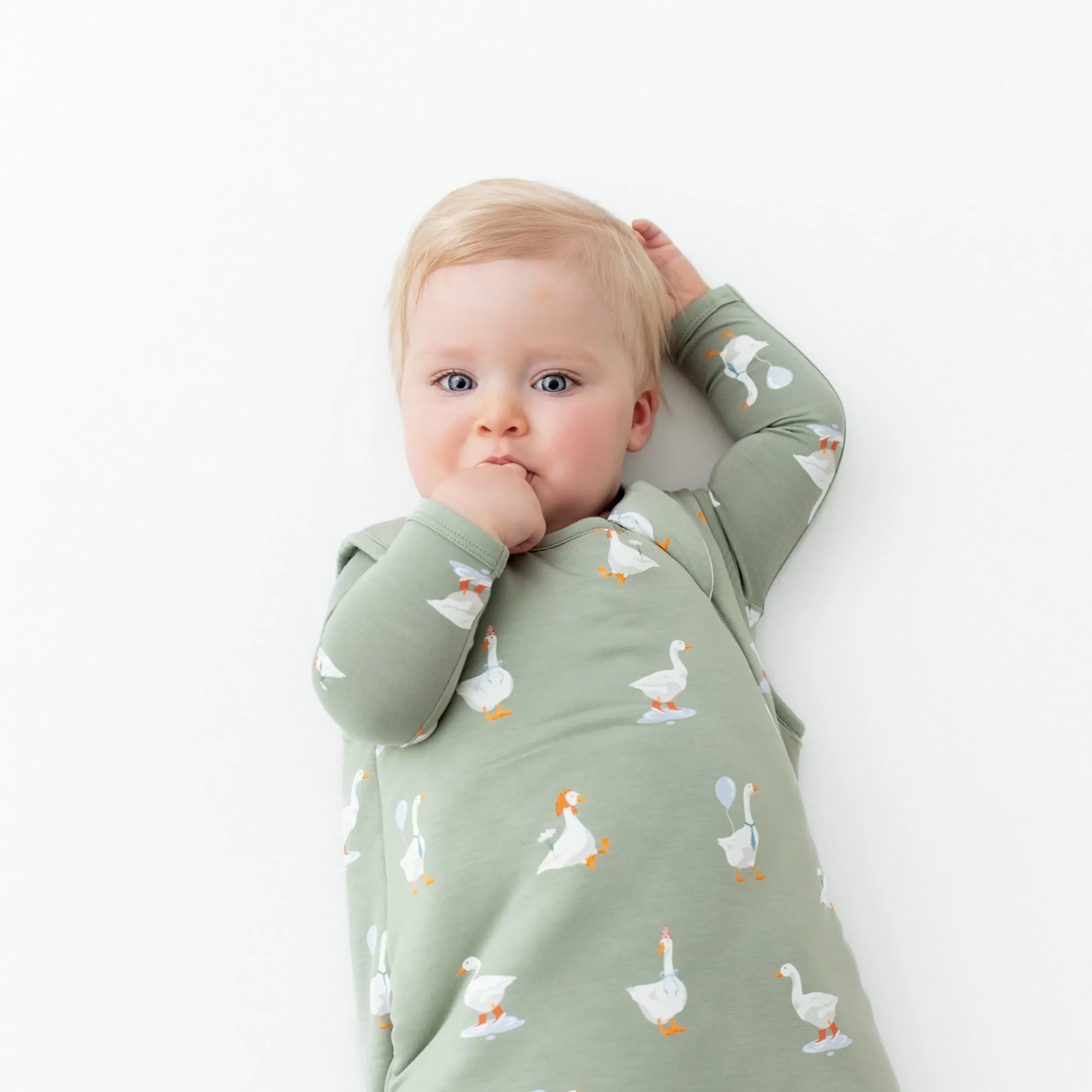 Sleep Bag in Silly Goose 2.5