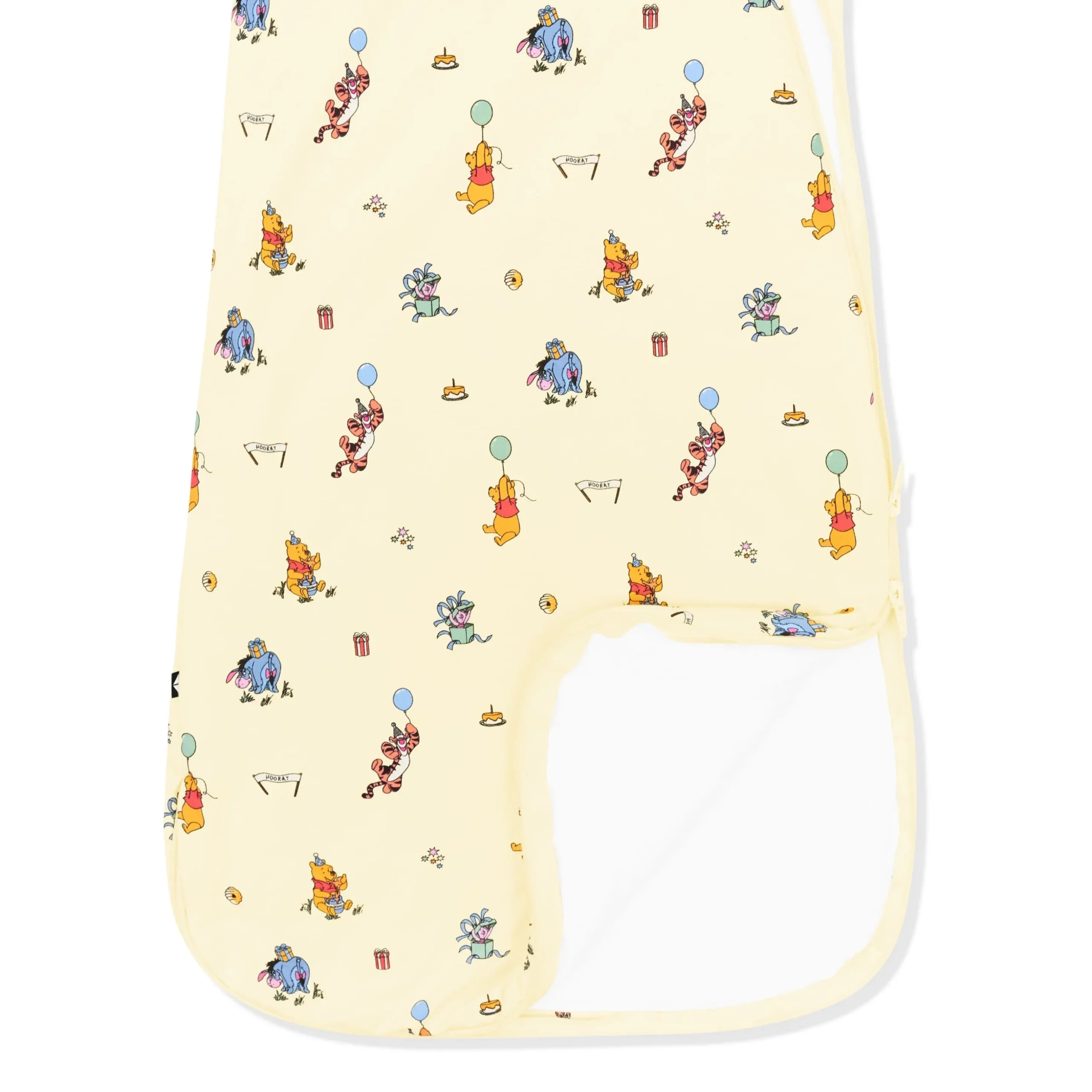 Sleep Bag in Winnie the Pooh Celebration 1.0