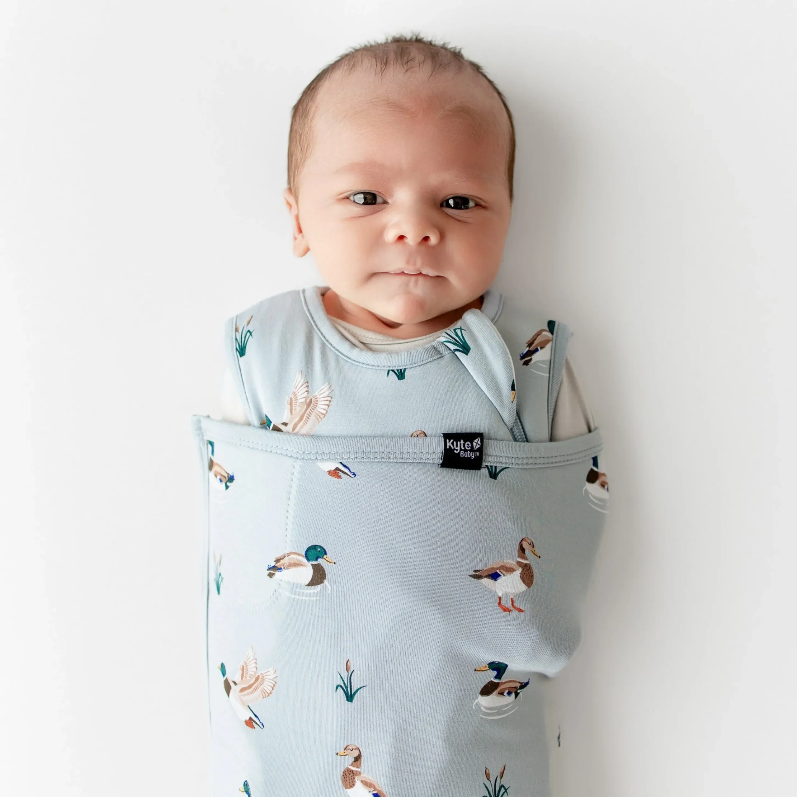 Sleep Bag Swaddler in Mallard Duck 1.0