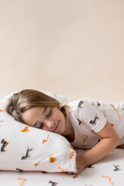 Standard Pillowcase in Dachshund