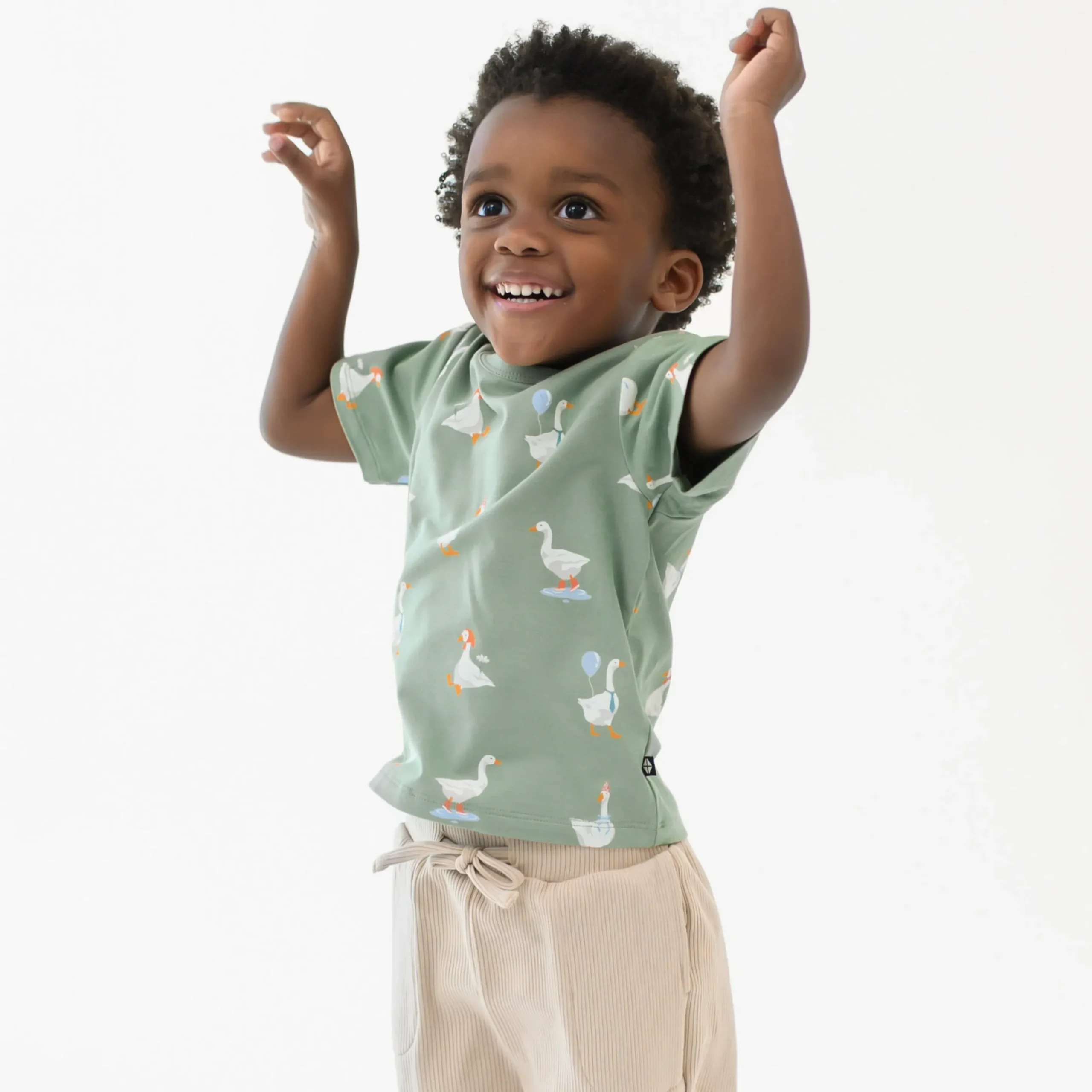 Toddler Basic Tee in Silly Goose