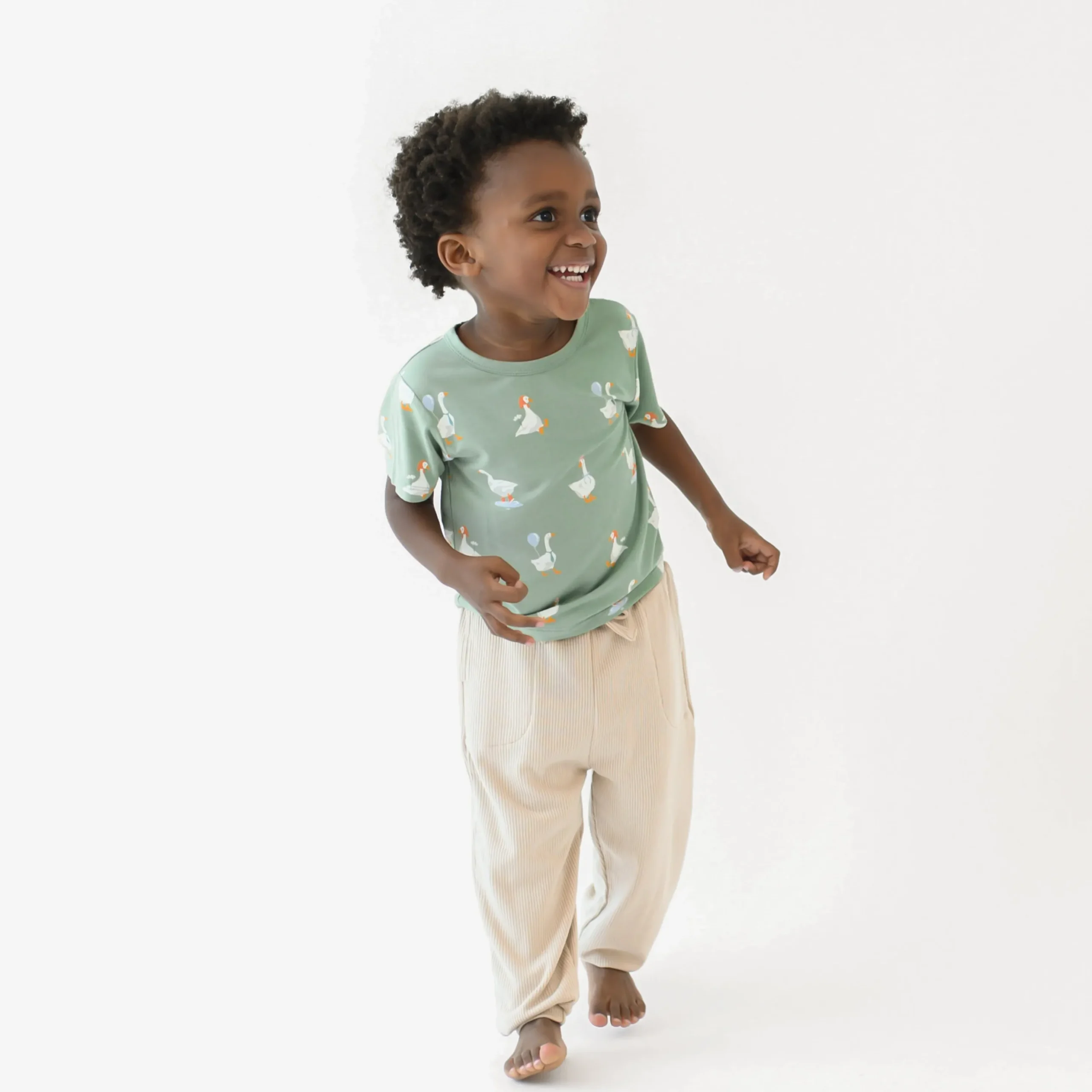 Toddler Basic Tee in Silly Goose