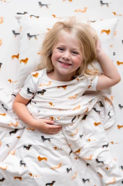 Toddler Blanket in Dachshund 1.0