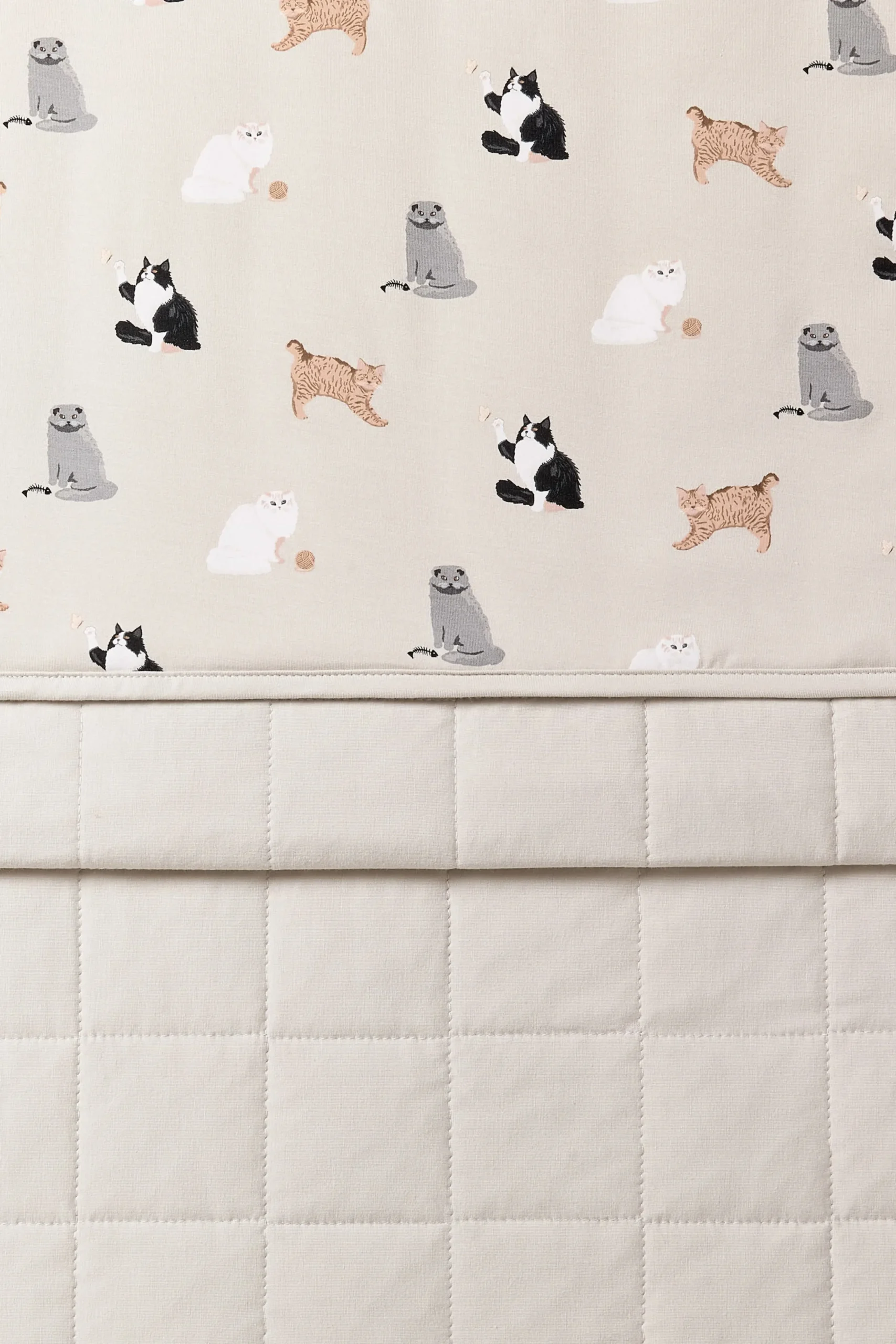 Toddler Blanket in Fluffy Cat 1.0