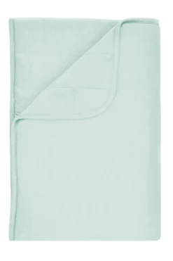 Toddler Blanket in Sage 1.0
