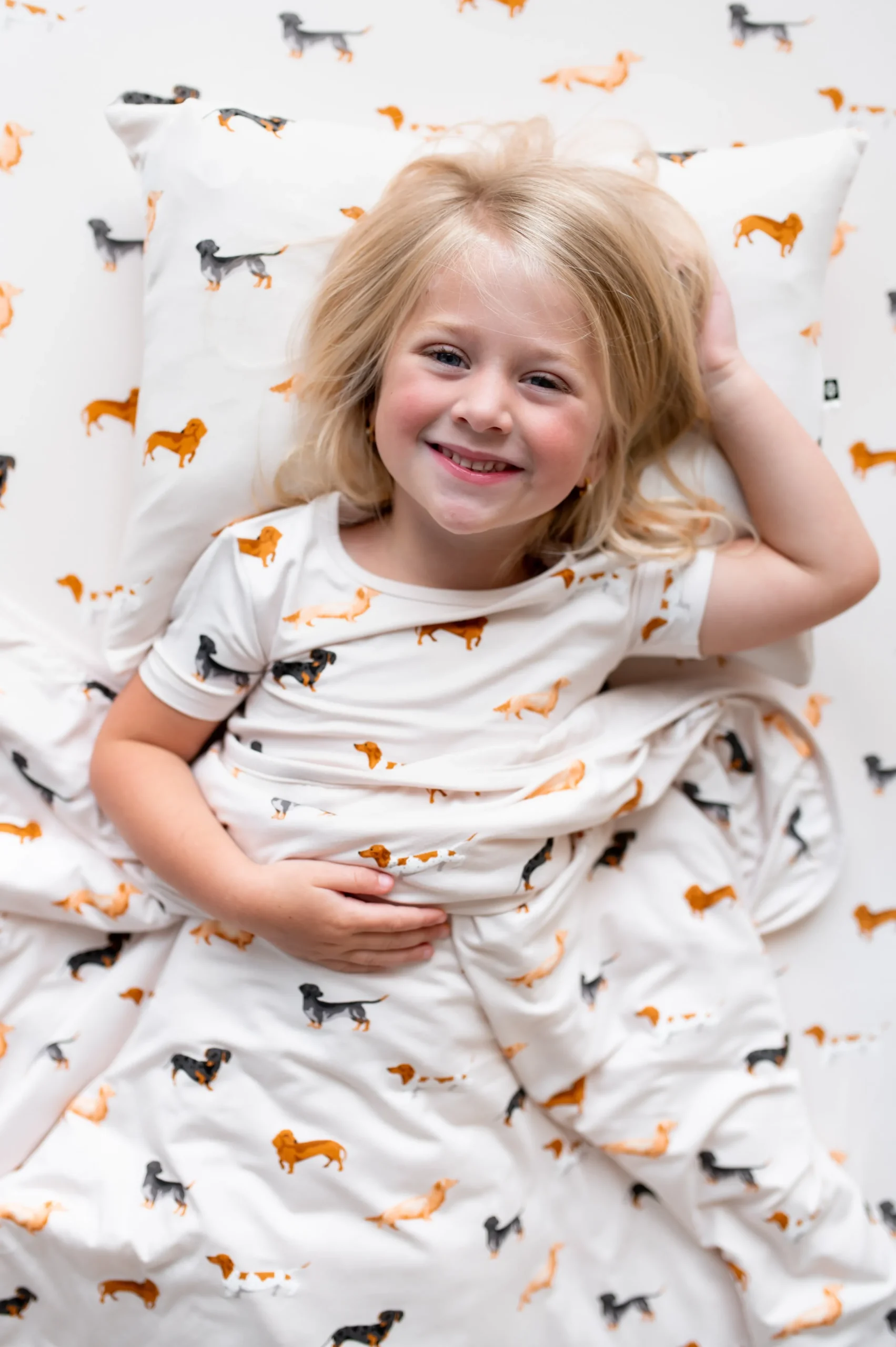 Toddler Pillowcase in Dachshund