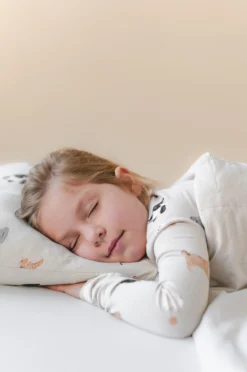 Toddler Pillowcase in Fluffy Cat