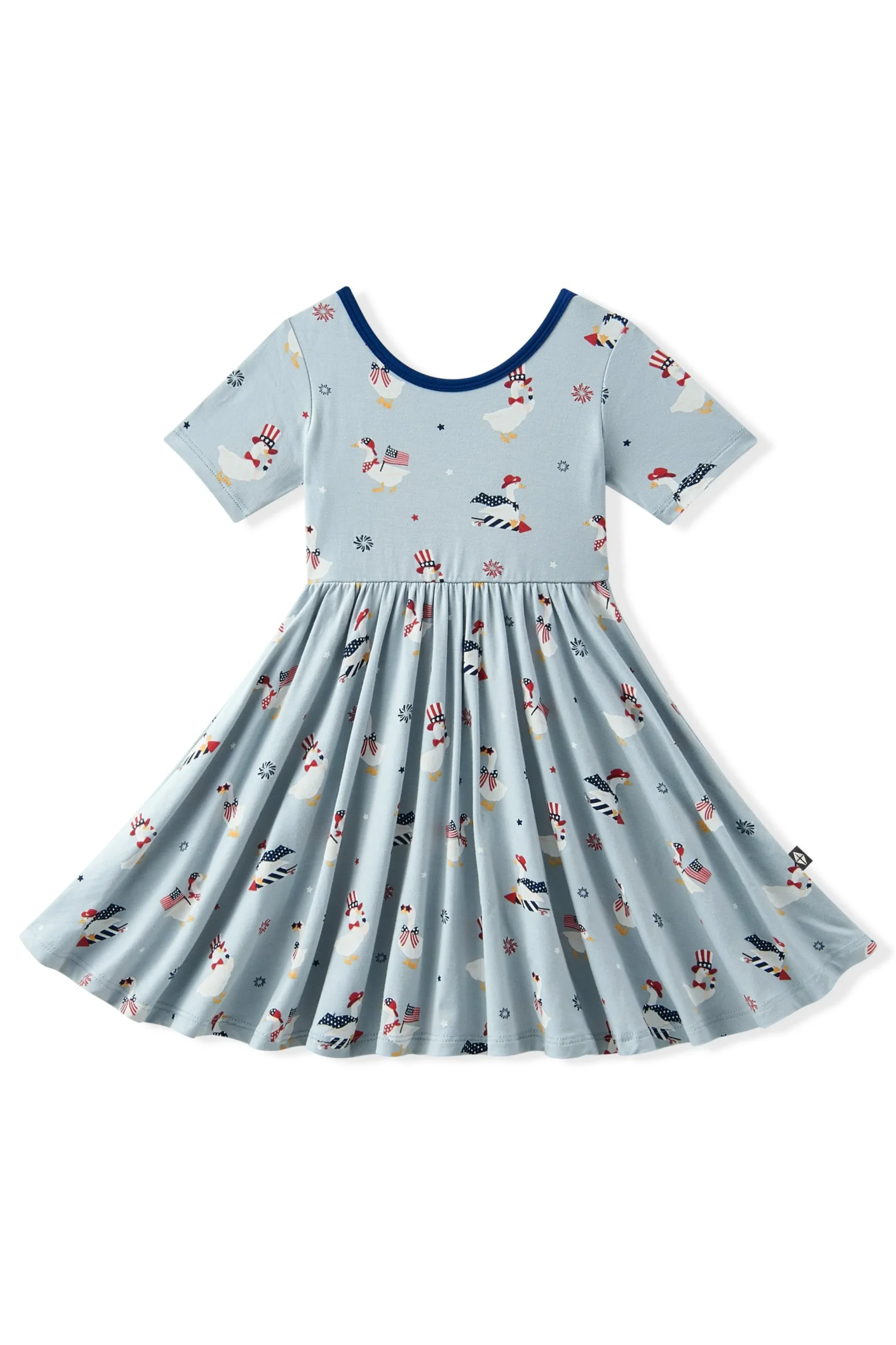 Twirl Dress in Patriotic Goose