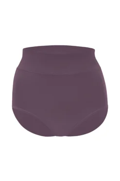 Women's High-Waisted Brief in Currant