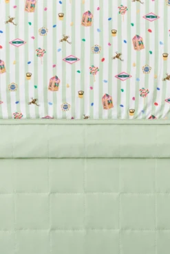 Youth Blanket in Honeydukes 1.0