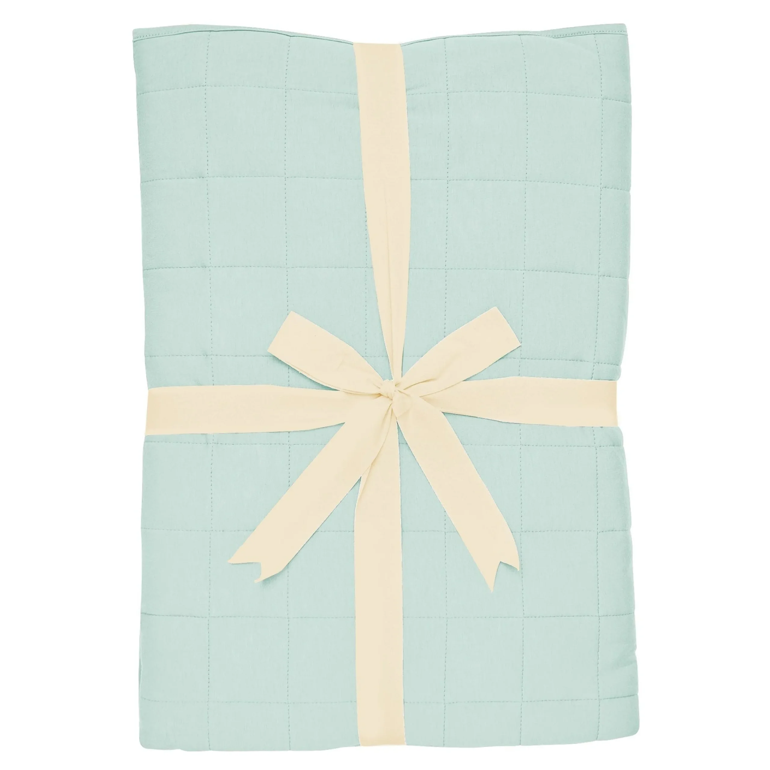 Youth Blanket in Sage 2.5