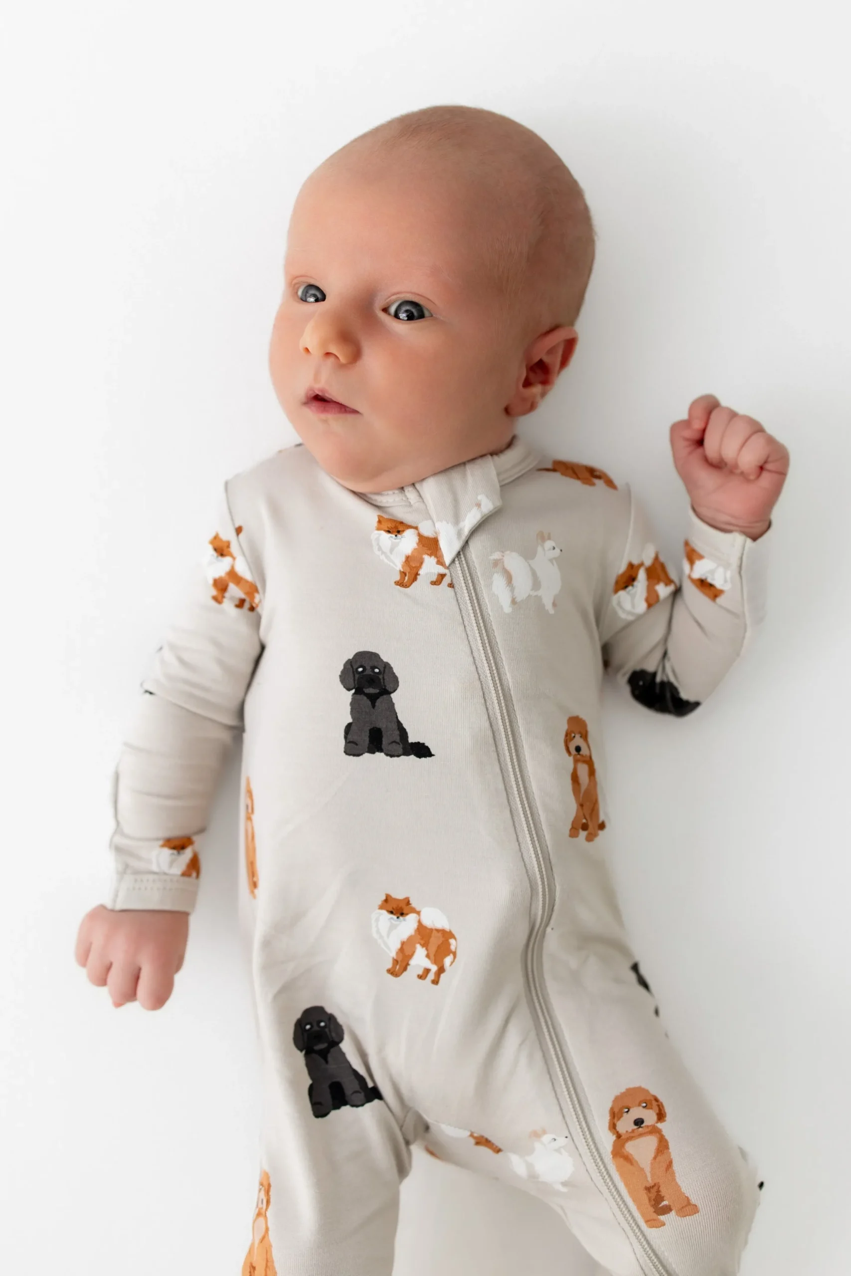 Zippered Romper in Fluffy Dog
